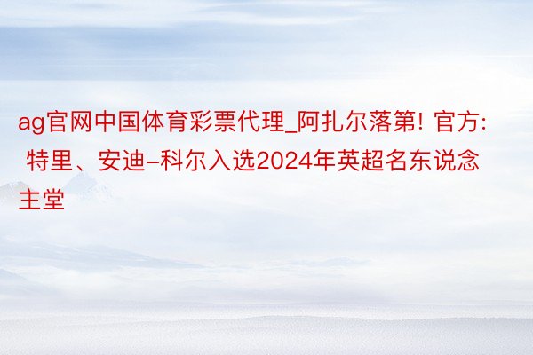 ag官网中国体育彩票代理_阿扎尔落第! 官方: 特里、安迪-科尔入选2024年英超名东说念主堂