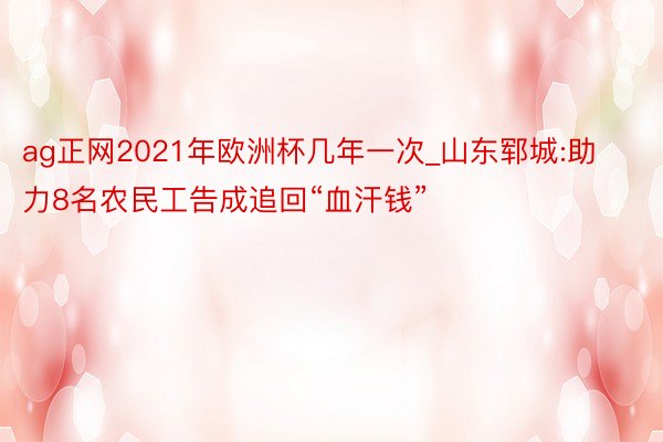 ag正网2021年欧洲杯几年一次_山东郓城:助力8名农民工告成追回“血汗钱”